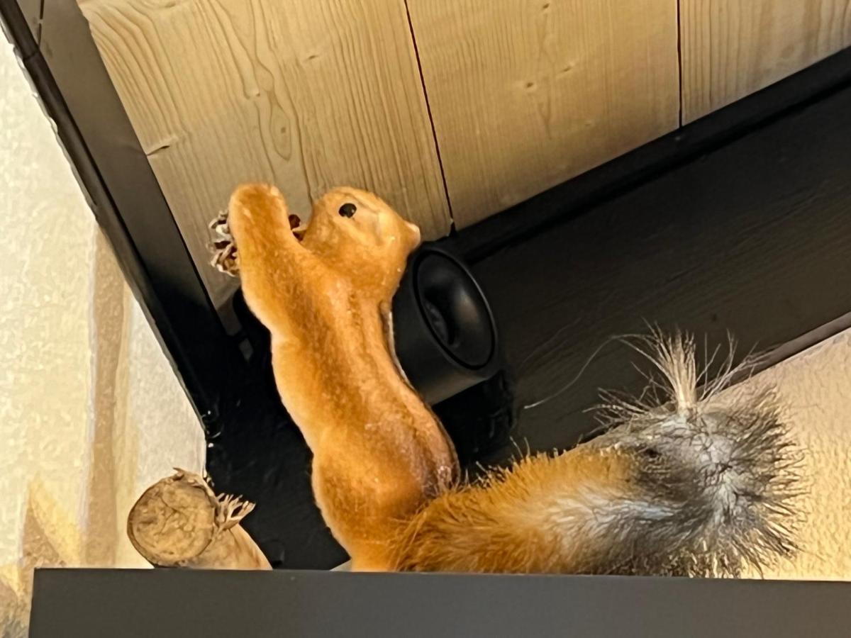 Chalet De L Ours Bolquère Zewnętrze zdjęcie